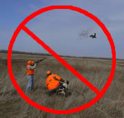 photo of pheasant hunter and guide