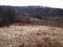 Photo of a lone rabbit hunter dwarfed by the hills at Jim Edgar Panther Creek State Fish & Wildlife Area